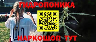 apvp Заволжье