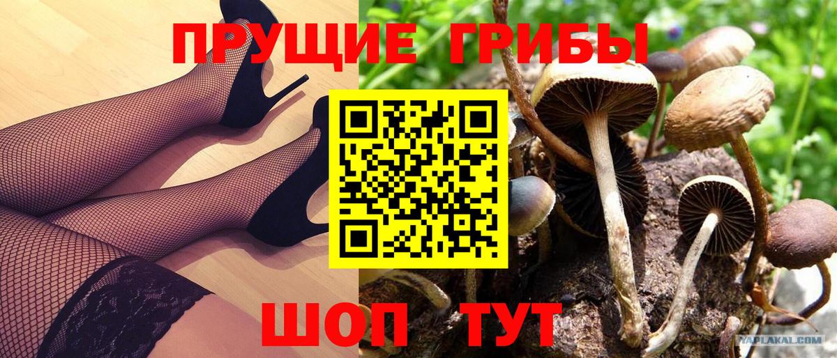 Псилоцибиновые грибы ЛСД Кострома