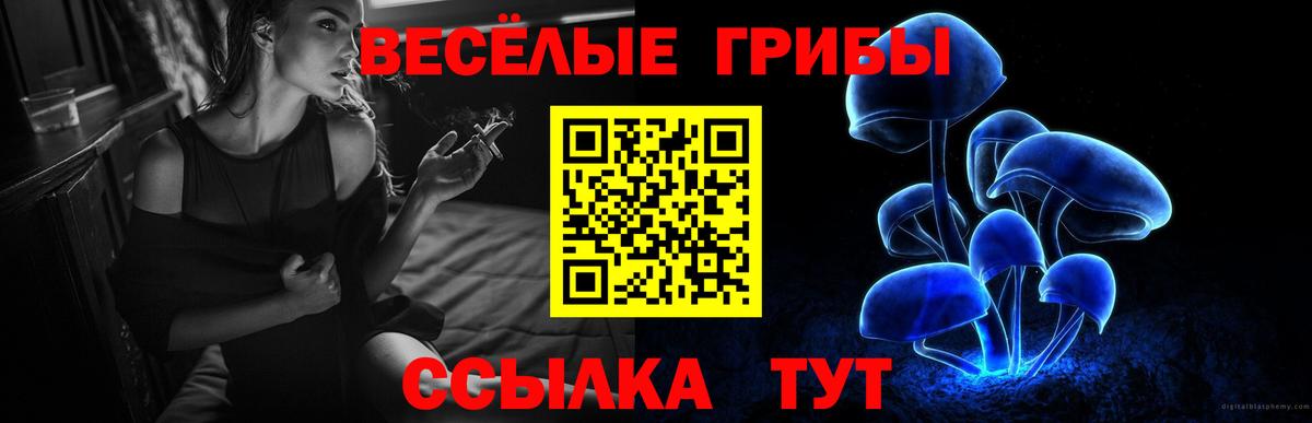 закладка  Галлюциногенные грибы мухоморы  Вход с VPN  Кострома 